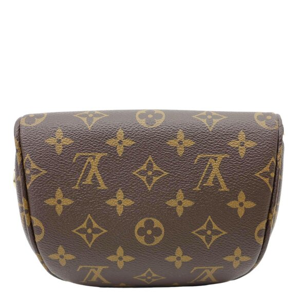 Louis Vuitton  Mini Monogram Canvas Bumbag Brown - Picture 5 of 14